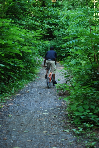 Cyclist rides off into the vast network of trails along the Wissahickon Creek; Forbidden Drive, Philadelphia, PA; June 06, 2009